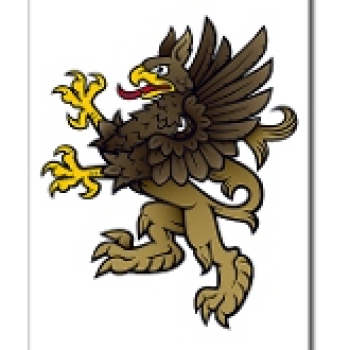 pro badge