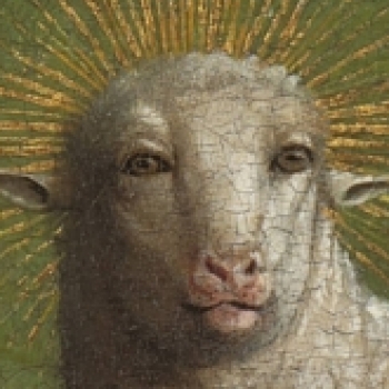 slaughteredlamb lamb
