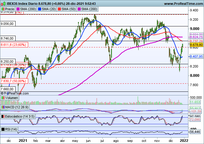 ibex