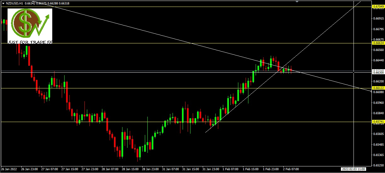 NZDUSD, H1