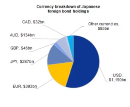 Descripción: Currency Breakdown of Japanese Foreign Bond Holdings