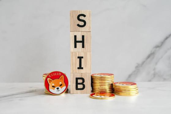 Shiba Inu (SHIB) pasa a ser un “activo más práctico” tras la integración de CoinGate
