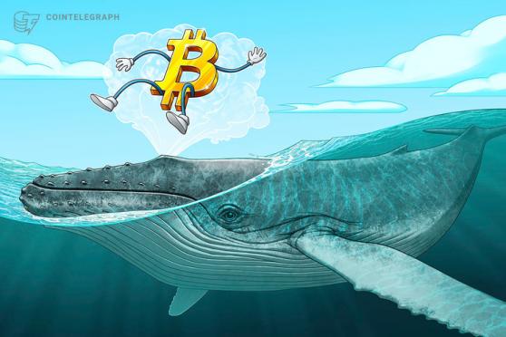 Las ballenas de bitcoin tienen un comportamiento cada vez más bajista