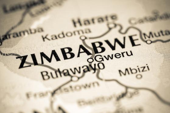 USD a ZiG: ¿Cómo le va al Zimbabwe Gold?