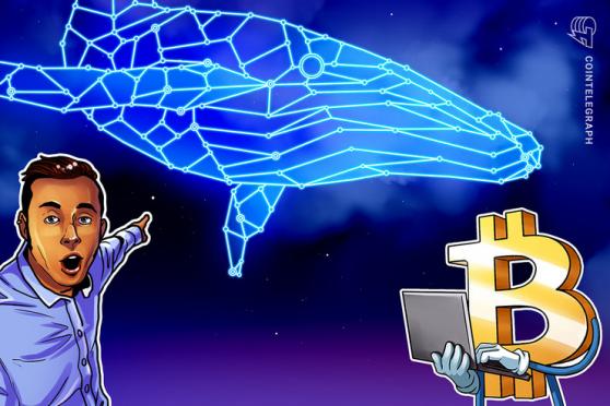 Cómo transferir USD 1,000 millones básicamente gratis: avistamiento de ballenas de Bitcoin