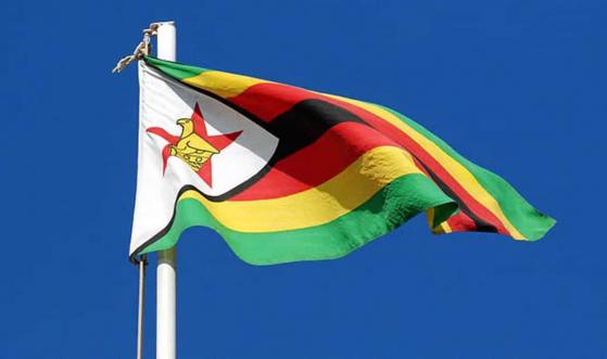 RBZ reflexiona sobre un nuevo plan para salvar el dólar zimbabuense que cae en picada