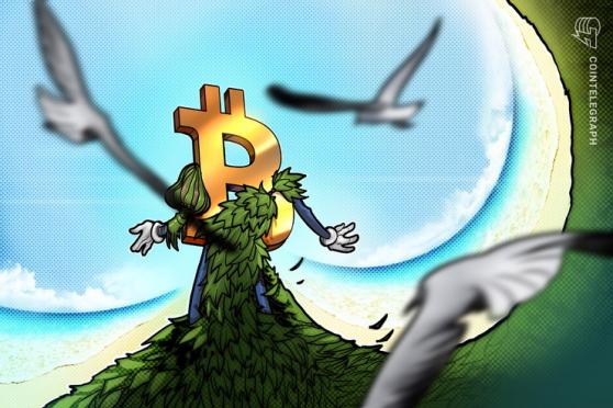 Los grupos ecologistas quieren que Bitcoin siga el ejemplo de Ethereum para pasar al proof-of-stake