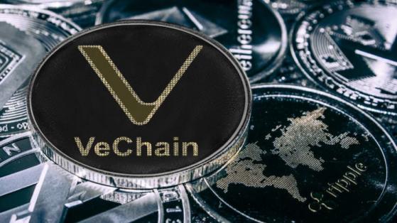 Bonk, con sede en Solana, se recupera un 200%, se prevé un crecimiento notable para Vechain (VET) e InQubeta (QUBE)