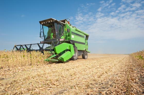 El precio de la soja se dispara a medida que el informe WASDE apunta a menores rendimientos