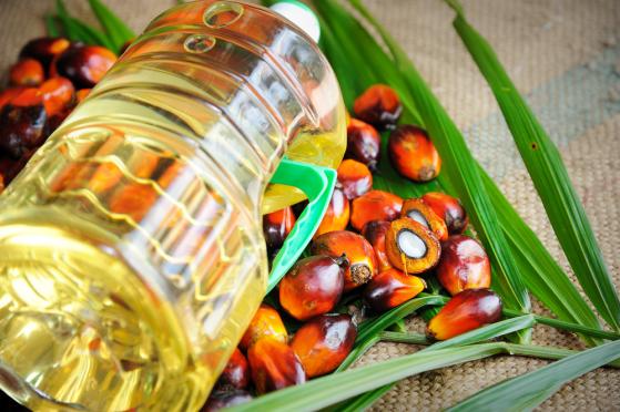 El precio del aceite de palma sufre un duro revés en medio de preocupaciones sobre el exceso de oferta