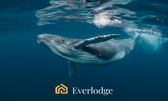 Everlodge (ELDG): un mercado NFT inmobiliario 100x que permite la propiedad fraccionada