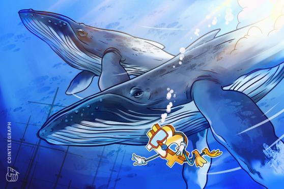 El precio de bitcoin se acerca a los USD 21,700 mientras las ballenas impulsan a BTC  