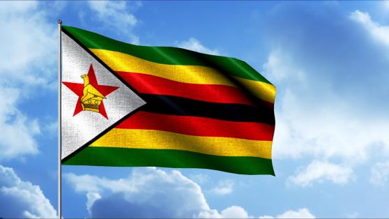 El dólar de Zimbabue colapsa: ZWL/USD cae un 94% en un año y aumentan los controles de capital
