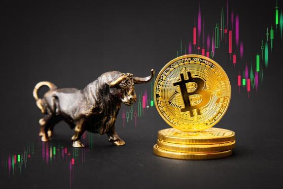 El Memeinator y las principales altcoins aumentan mientras Bitcoin apunta a $31,000